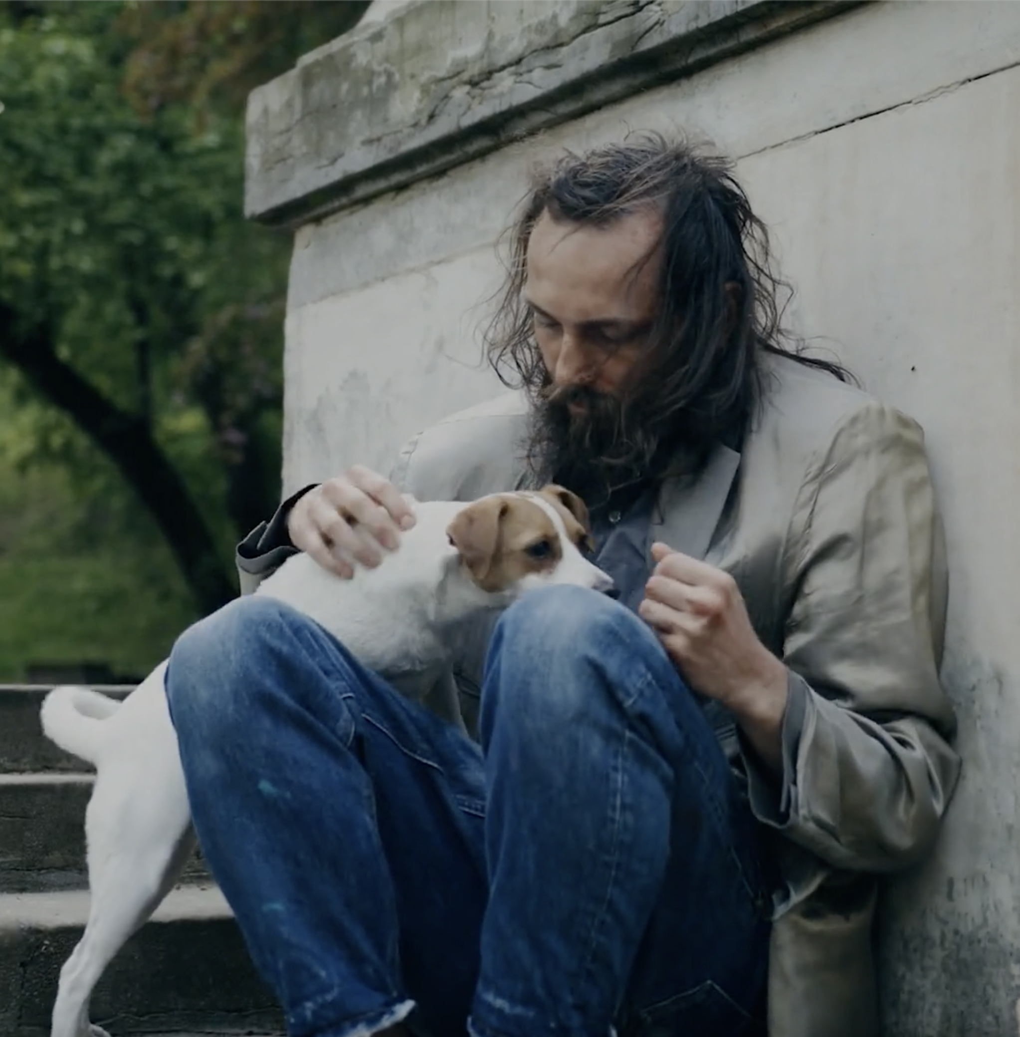 74%  Of homeless people consider their dog as their main source of social support.