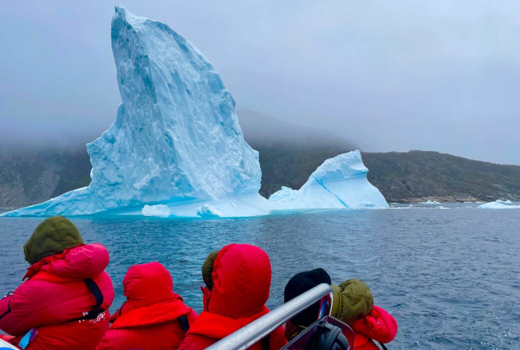 Discovering polar fauna through frozen waters | Desafío Ártico, Travel Book