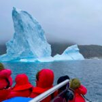 Descubriendo la fauna polar a través de aguas heladas | Desafío Ártico, Diario de Bitácora