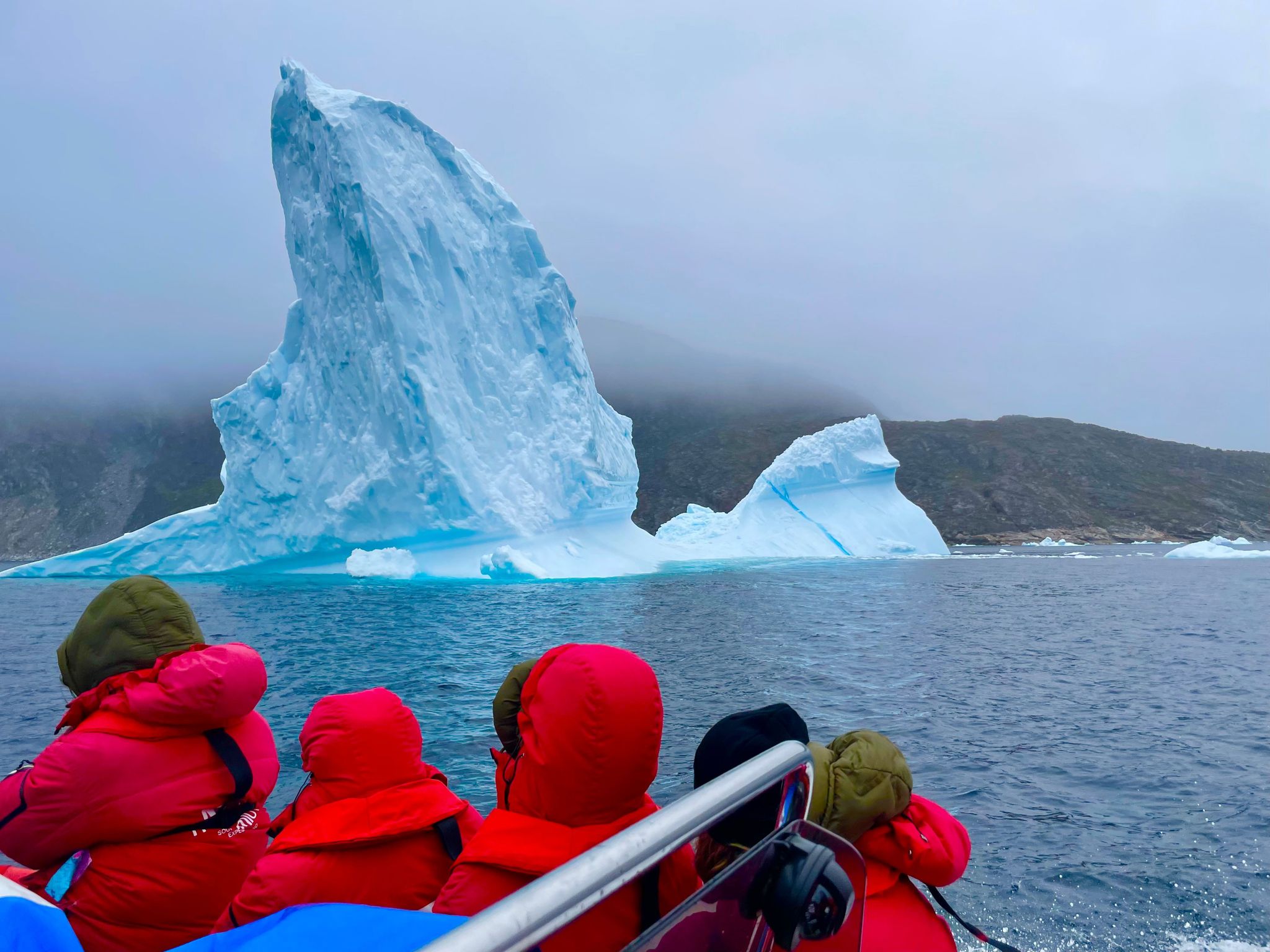 Discovering polar fauna through frozen waters | Desafío Ártico, Travel Book