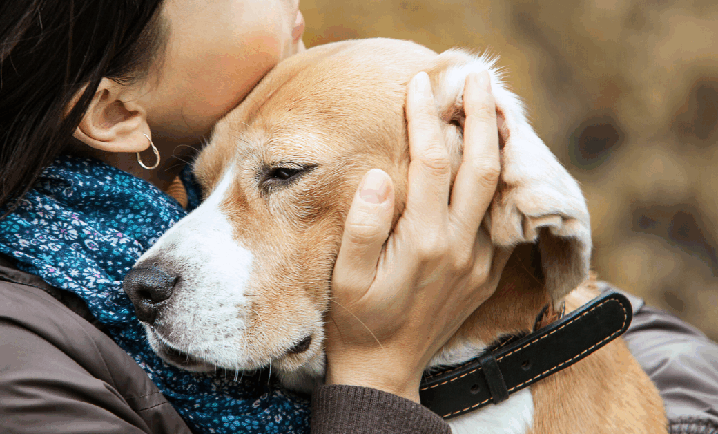 Fundación Ayuda y Esperanza nos unimos para cuidar de personas y animales a través del programa público ACOPET.