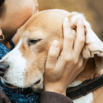 Nos unimos para cuidar animales y personas a través del programa ACOPET