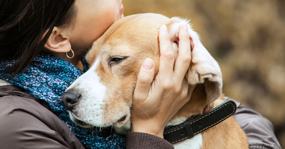 Fundación Ayuda y Esperanza nos unimos para cuidar de personas y animales a través del programa público ACOPET.