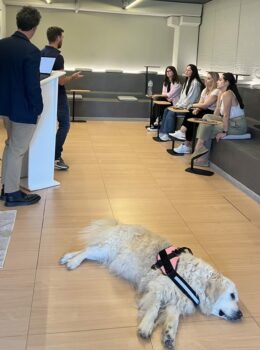 DingoWorkplace – People & Dogs