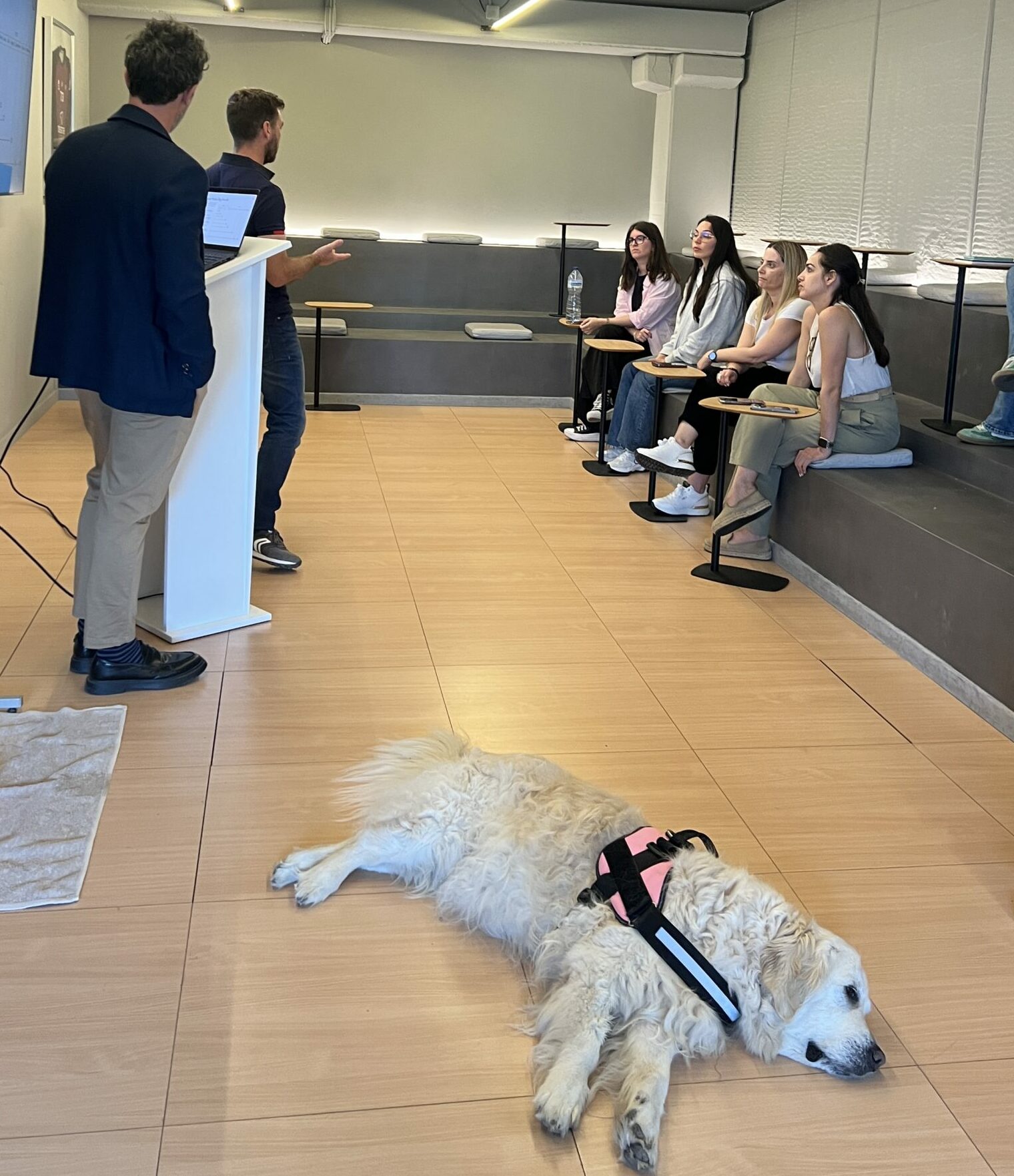 DingoWorkplace – People & Dogs