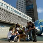 Desde Fundación Dingonatura financiamos e impulsamos el proyecto INSPIRAGOS, una terapia asistida con perros en Vall d’Hebron 