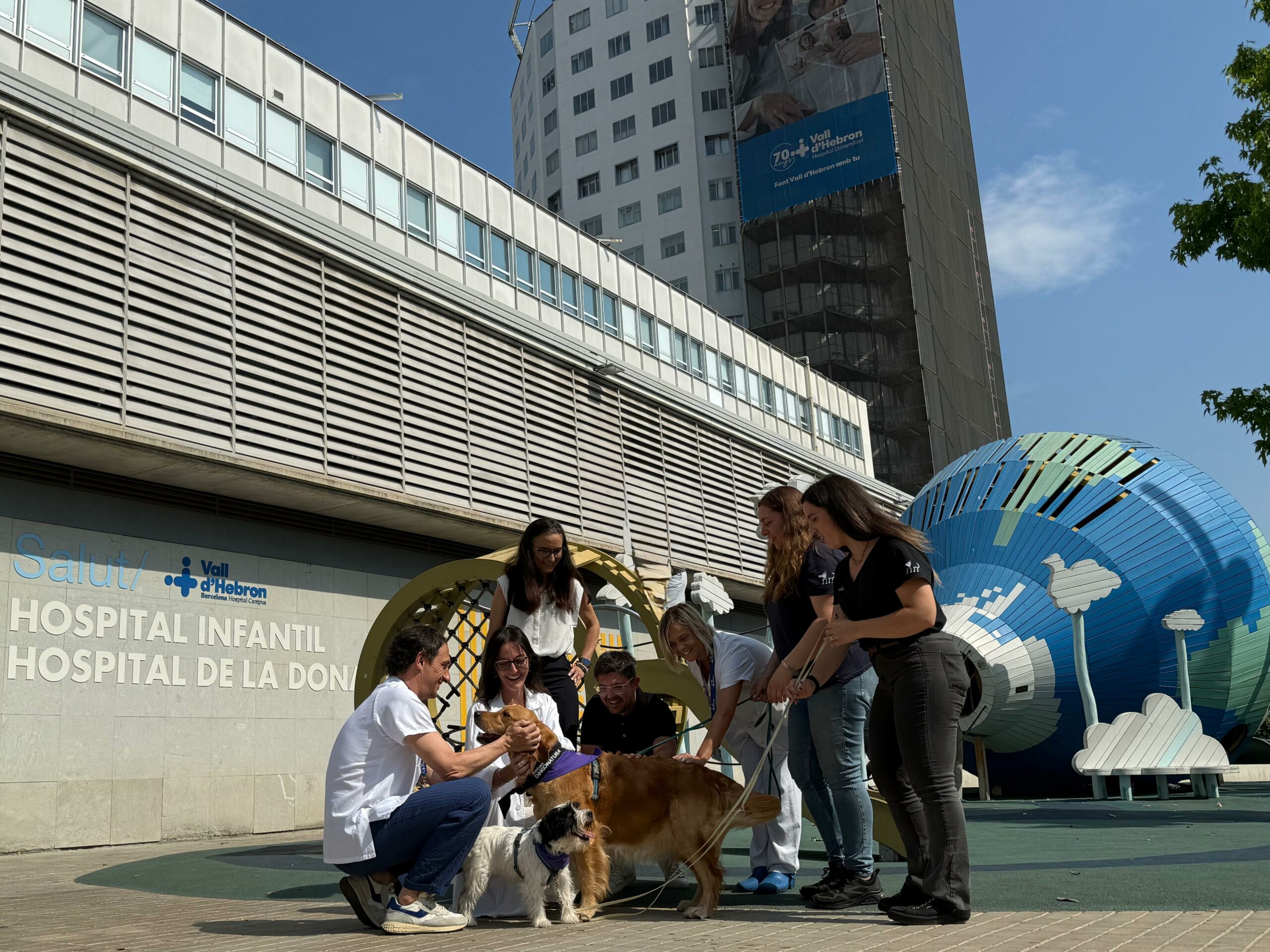 Desde Fundación Dingonatura financiamos e impulsamos el proyecto INSPIRAGOS, una terapia asistida con perros en Vall d’Hebron 