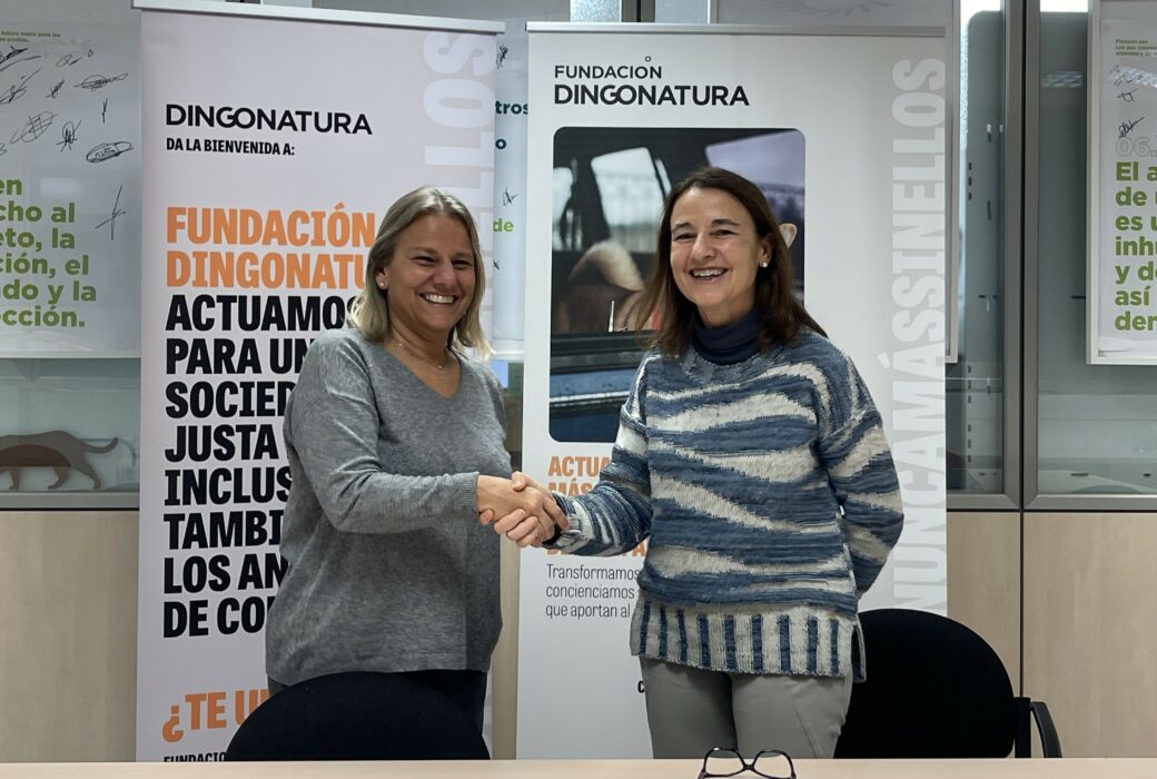 Fundación Dingonatura y ACEDE: Conectando empresas y compromiso social