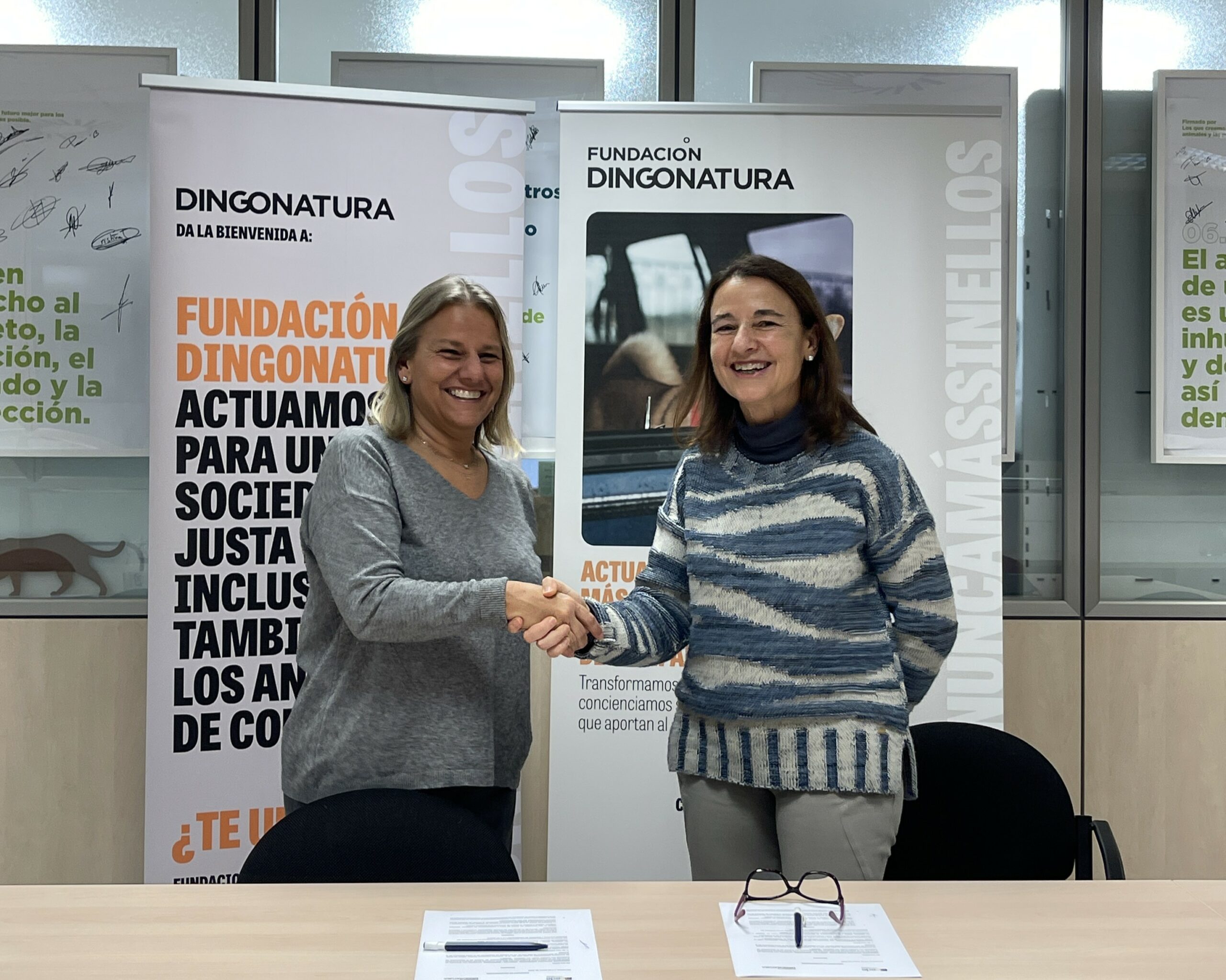Fundación Dingonatura y ACEDE: Conectando empresas y compromiso social